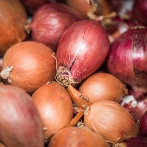 Zwiebel rot 1kg