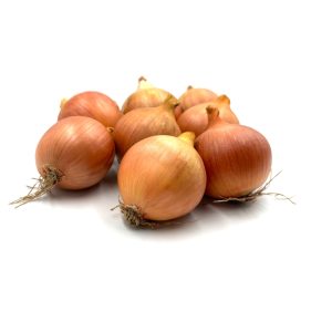 Zwiebel PARADOISO F1